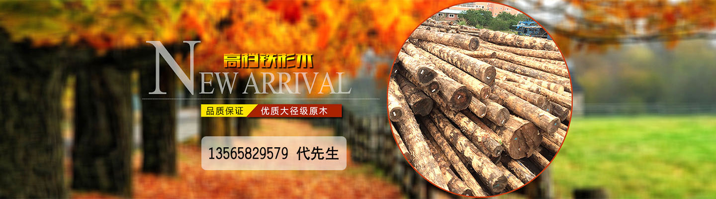 新疆乌市东辉木材加工