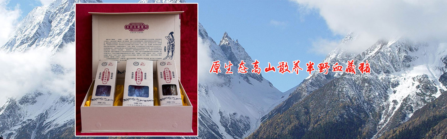 茸贡藏寨食品有限公司---特种生态养殖基地