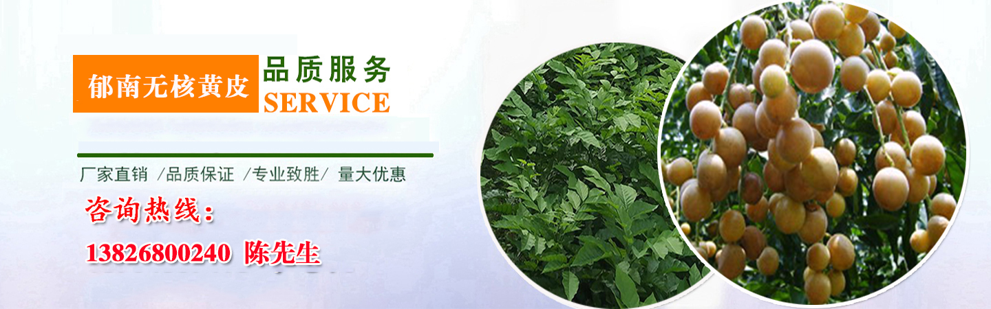 郁南县绿艳无核黄皮专业合作社