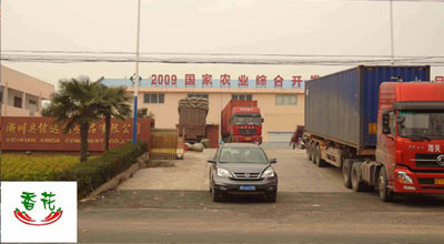 利达辣椒全国招商 认准品牌 安全放心