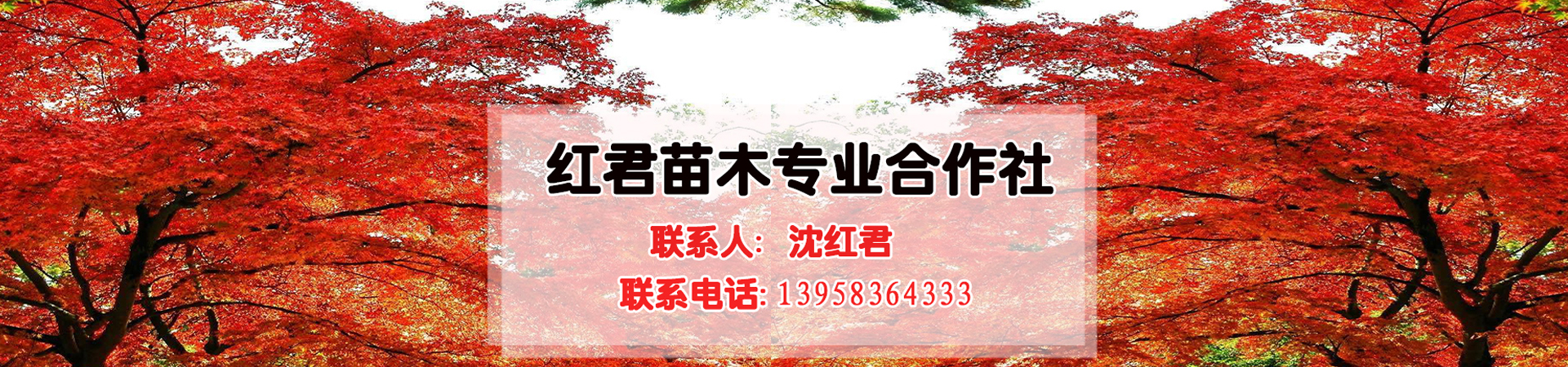 余姚市红君苗木专业合作社