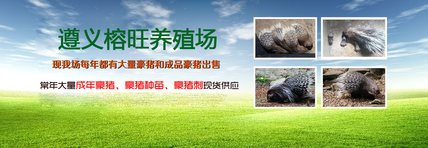 遵义榕旺养殖场