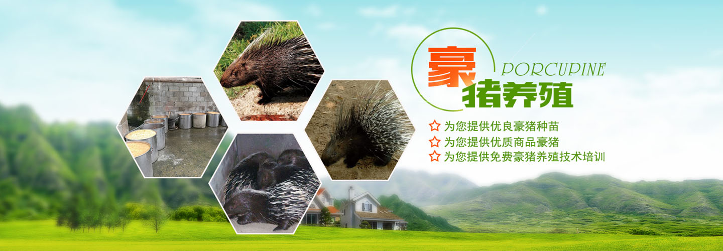 遵义榕旺养殖场