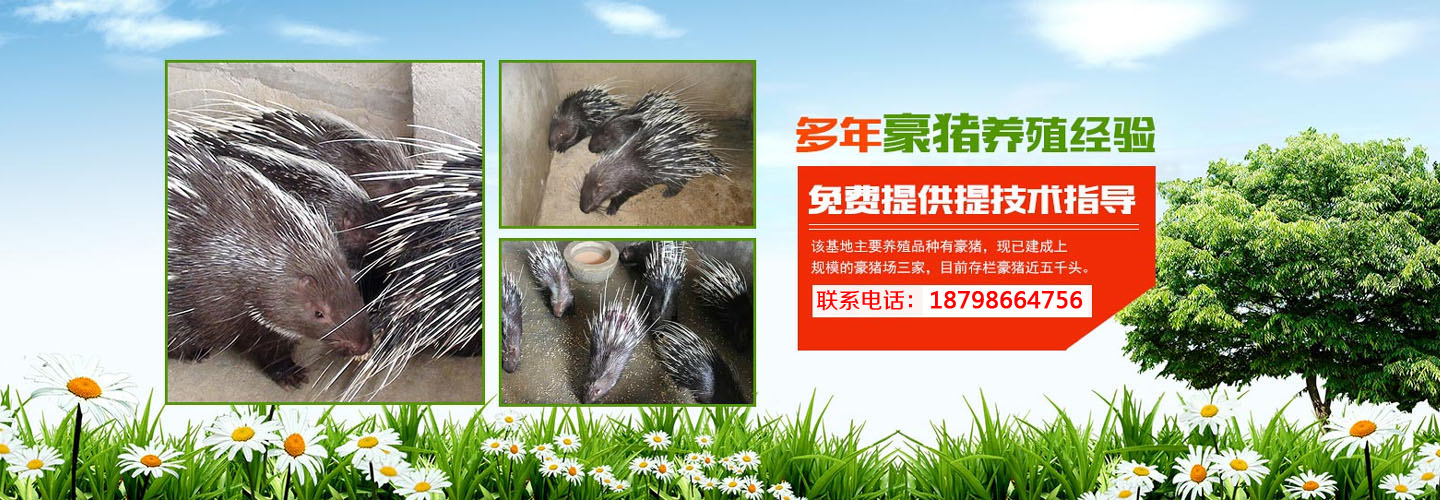 遵义榕旺养殖场