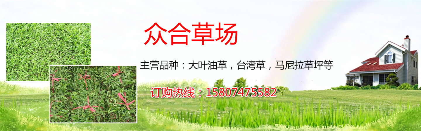 佛山三水众合草场