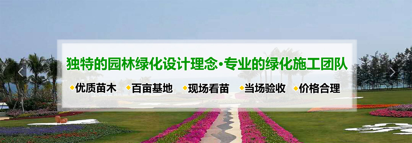 海南绿化\\海南绿色景阳花卉苗木基地 