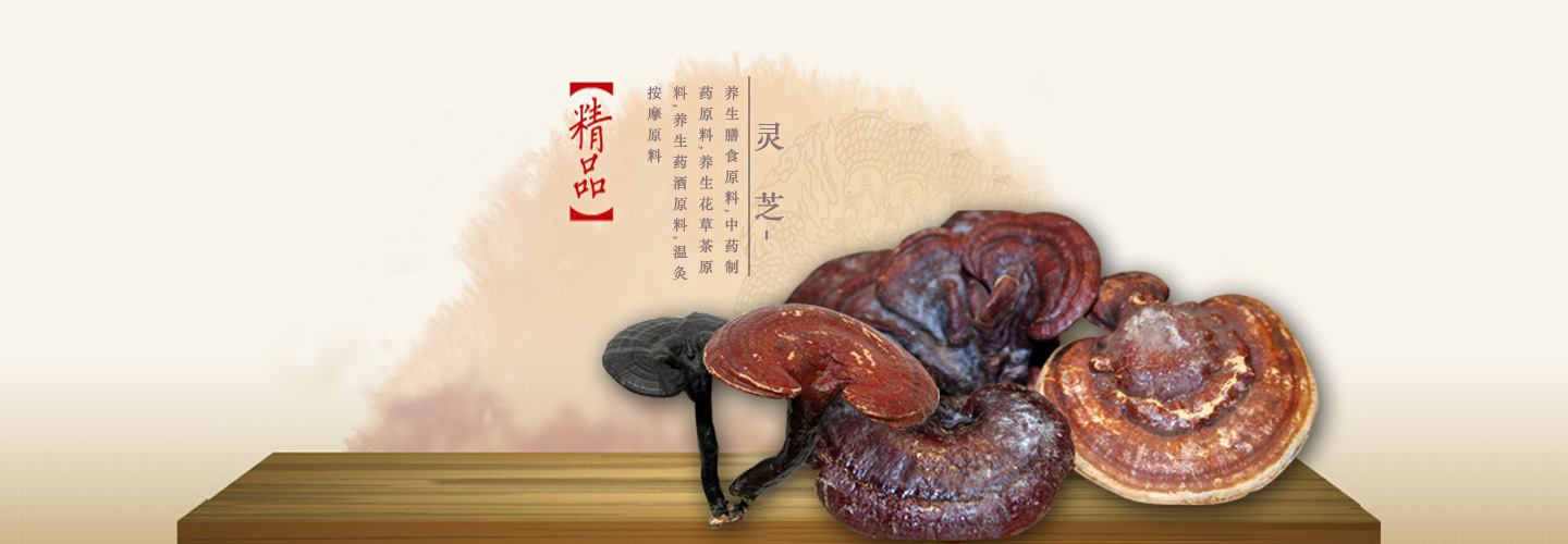 山东冠县康瑞灵芝科技有限公司