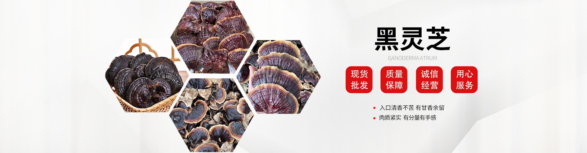 山东冠县康瑞灵芝科技有限公司