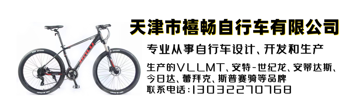 天津市禧畅自行车有限公司 