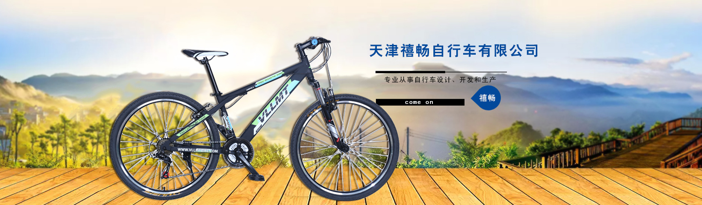 天津市禧畅自行车有限公司 