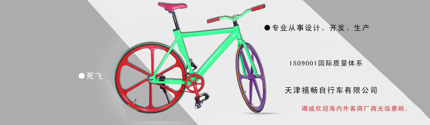 天津市禧畅自行车有限公司 