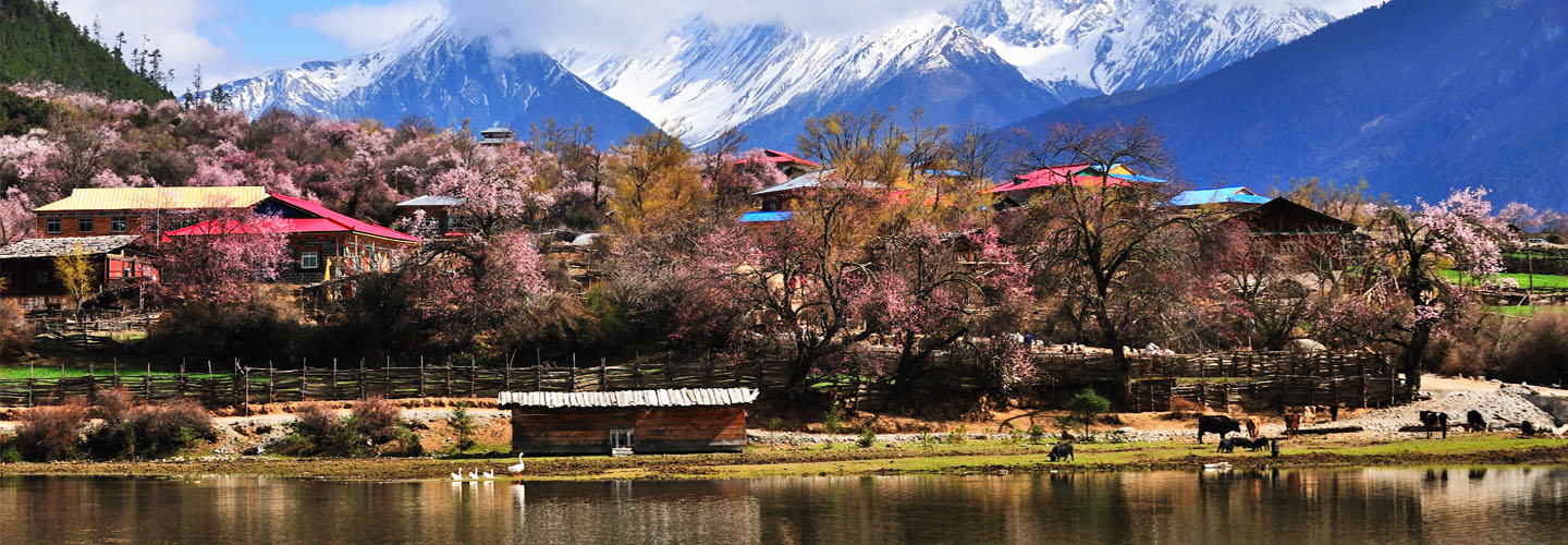 林芝诚信自助旅游包车