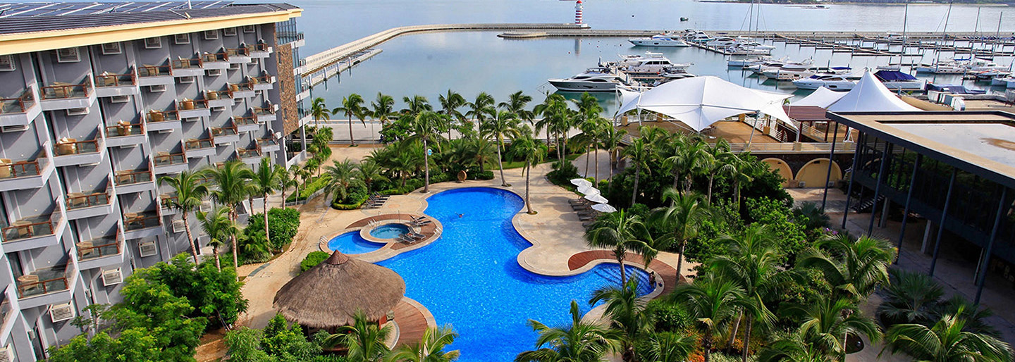 绿森桉树苗基地   桉树苗-速生桉树苗-广东桉树苗-海南桉树苗