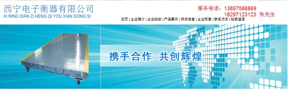 西宁诚信电子衡器维修销售