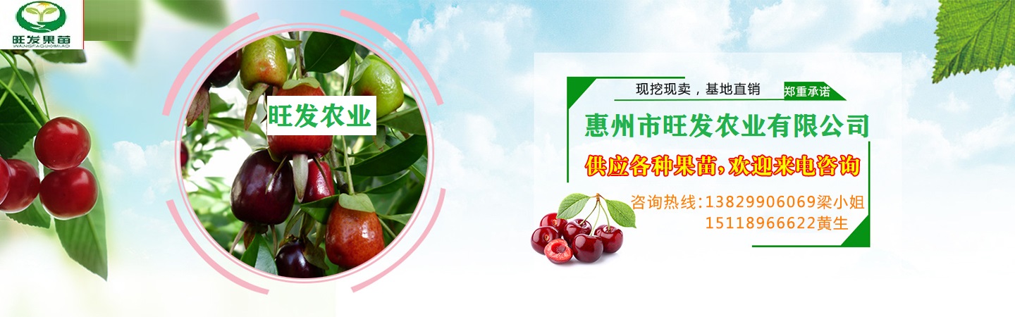 惠州市旺发农业有限公司