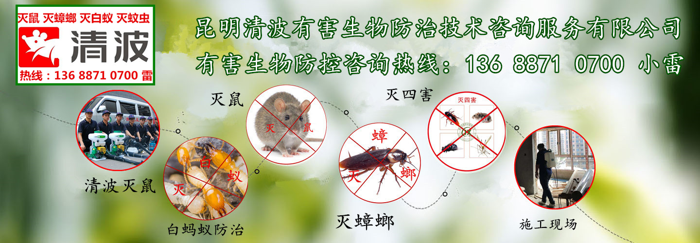 昆明清波有害生物防治有限公司