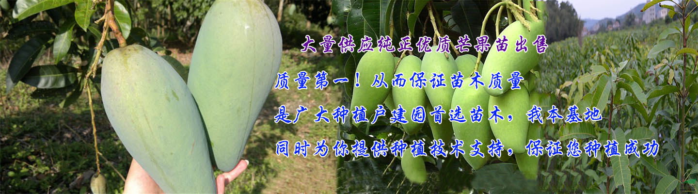 广东惠州市旺发果苗种苗有限公司