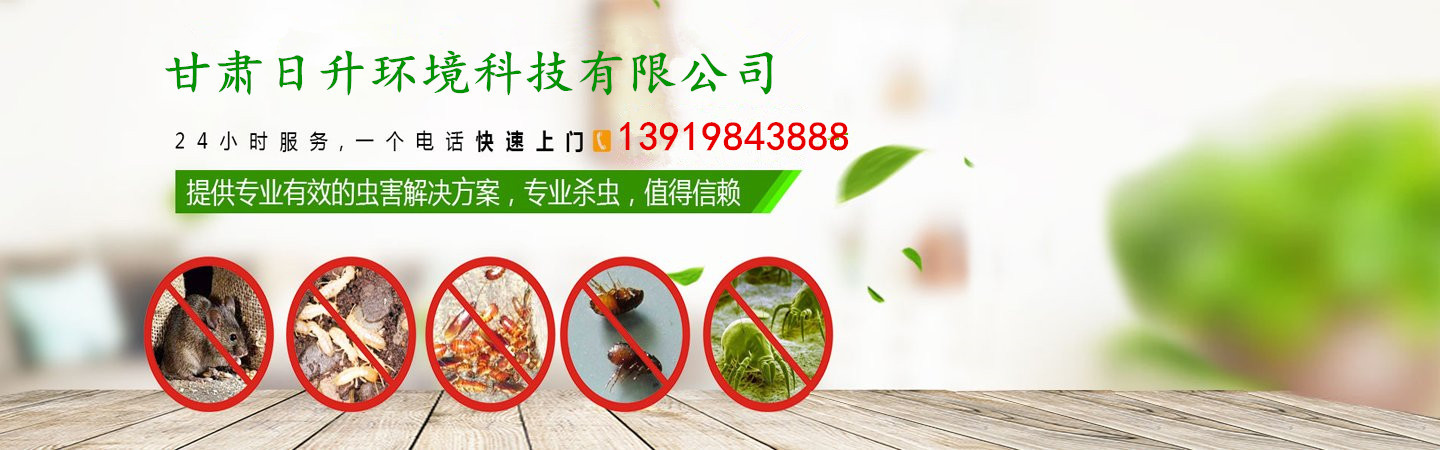 甘肃日升环境科技有限公司 