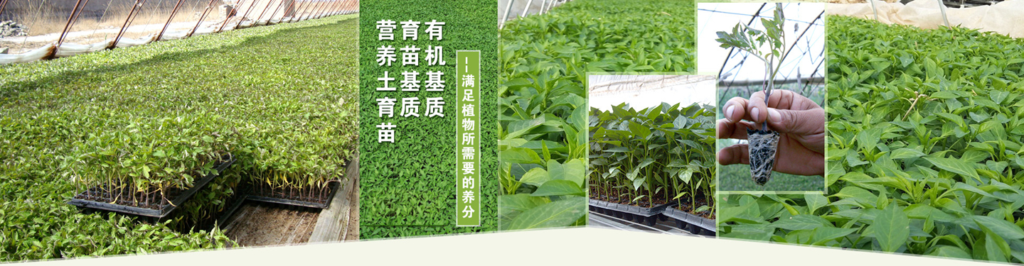 吉林省源农生物科技有限公司