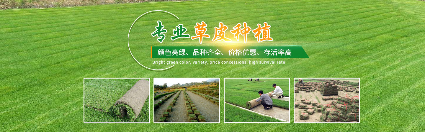 海南凤银绿化有限公司