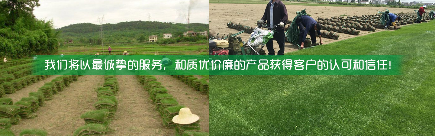 海南凤银绿化有限公司