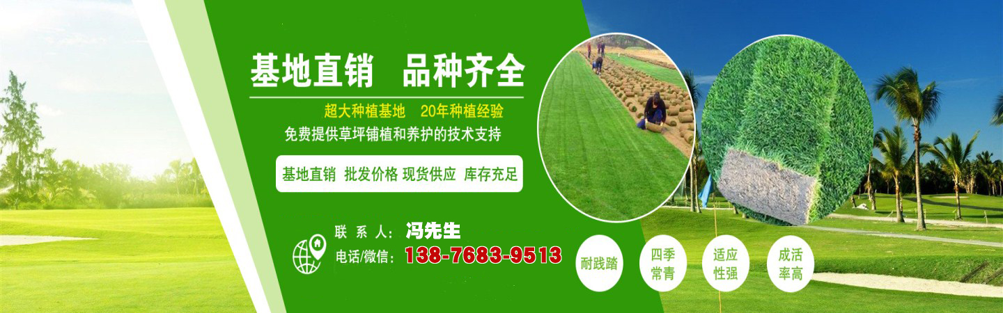 海南凤银绿化有限公司