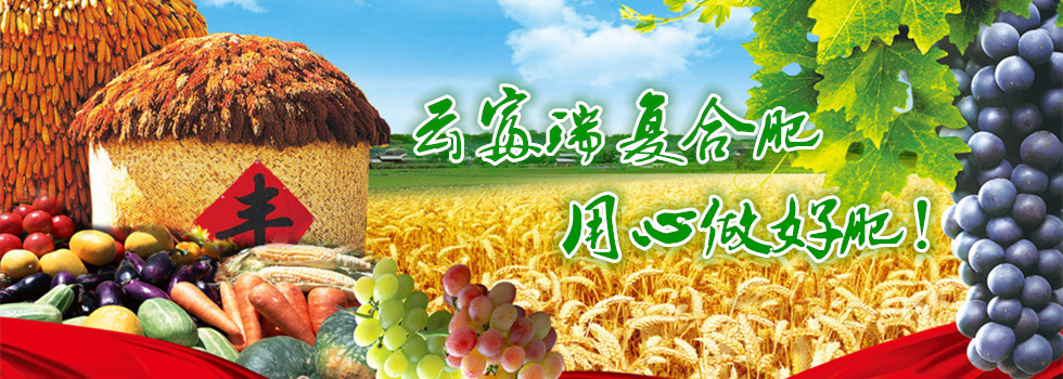 云南个旧市云丰磷化工有限公司
