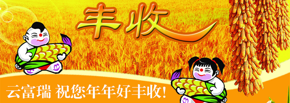 云南个旧市云丰磷化工有限公司