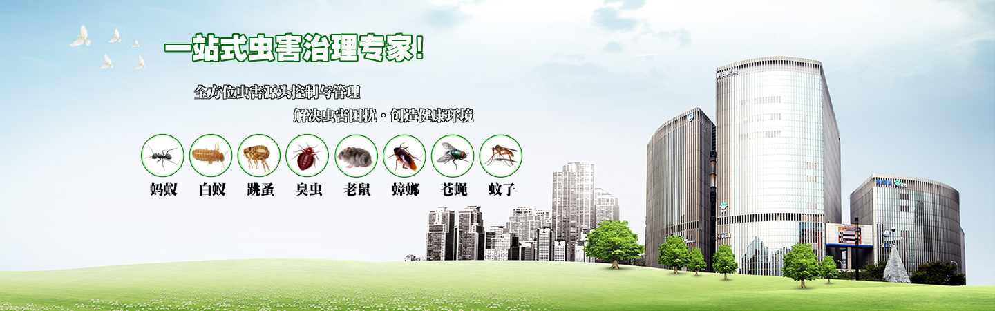 珠海齐昌杀虫灭鼠灭白蚁