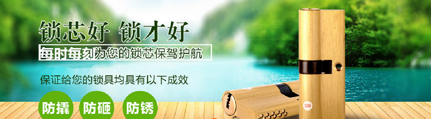 桐城市李文锁城经营部