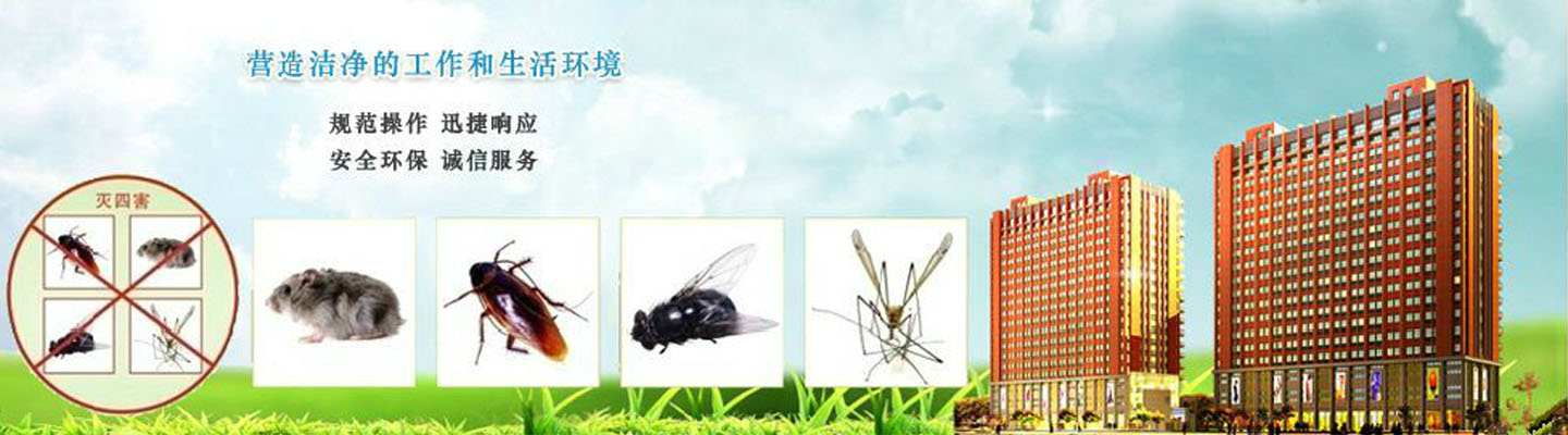 信阳市绿康灭鼠杀蟑螂白蚁消杀公司