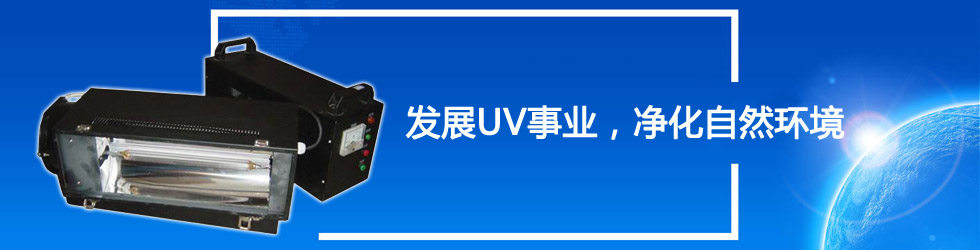 涿州市蓝天特灯发展有限公司