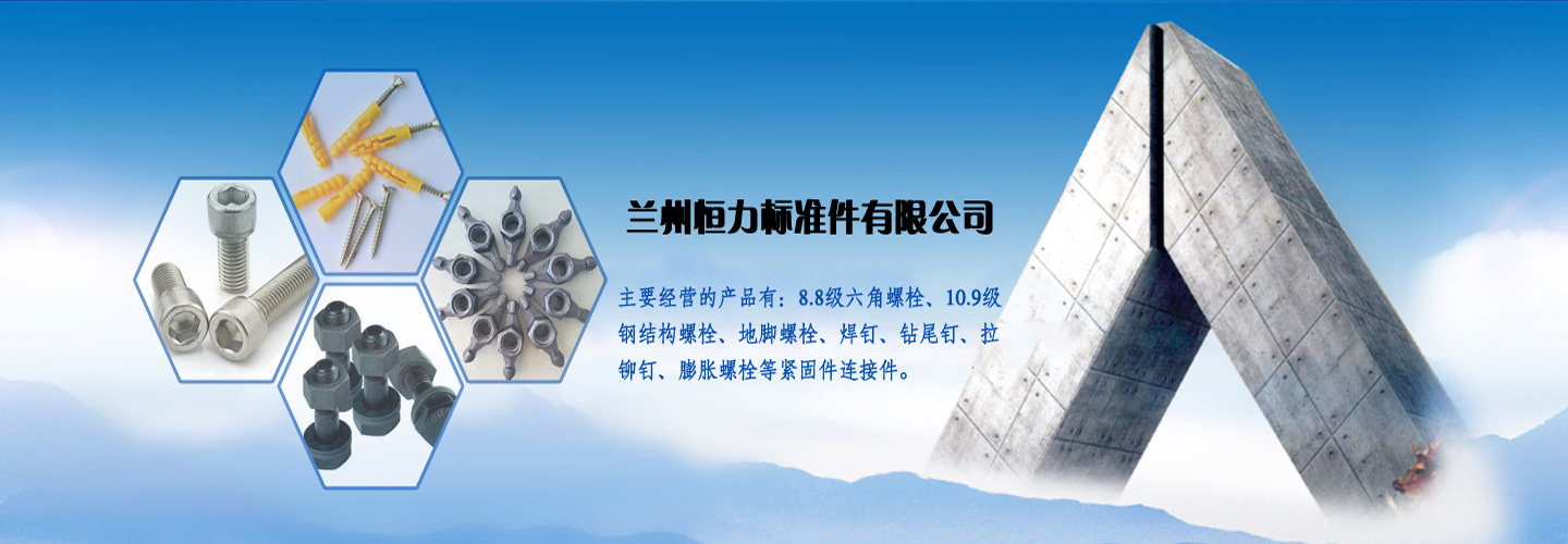 兰州恒力标准件有限公司