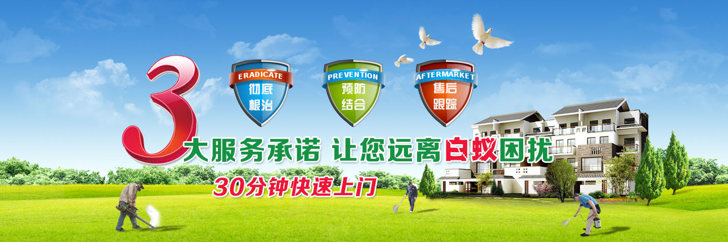 泉州清波杀虫灭鼠公司