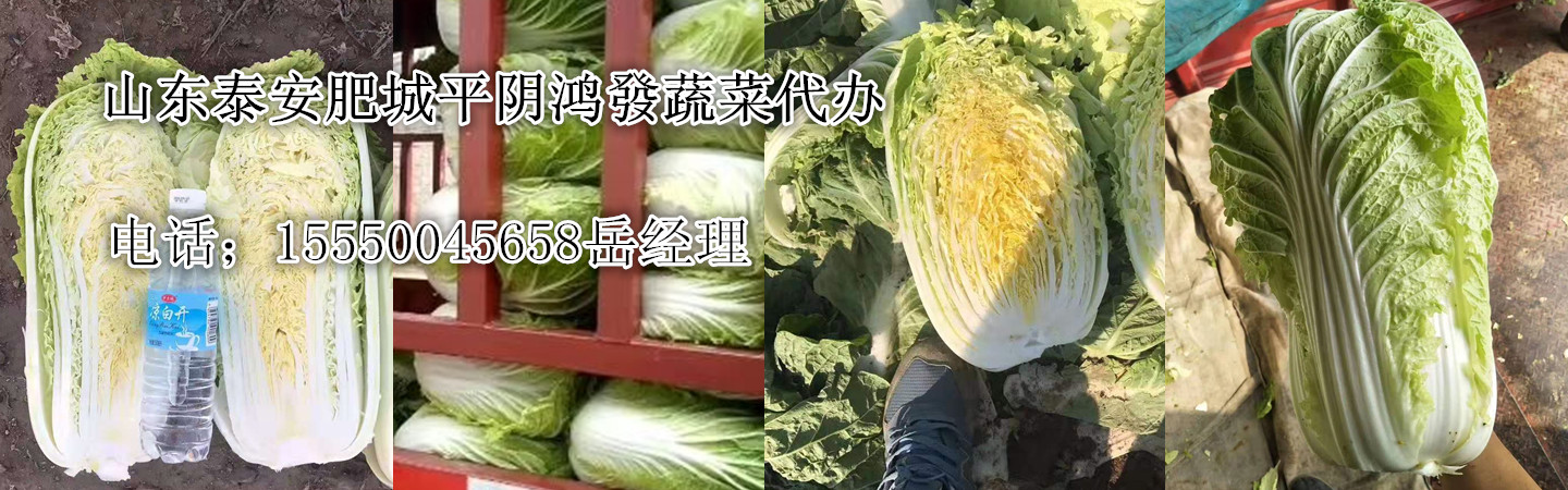 山东 金乡县鑫和泰商贸有限公司