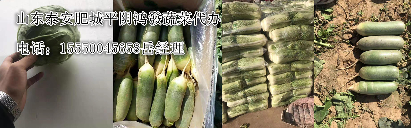 山东 金乡县鑫和泰商贸有限公司