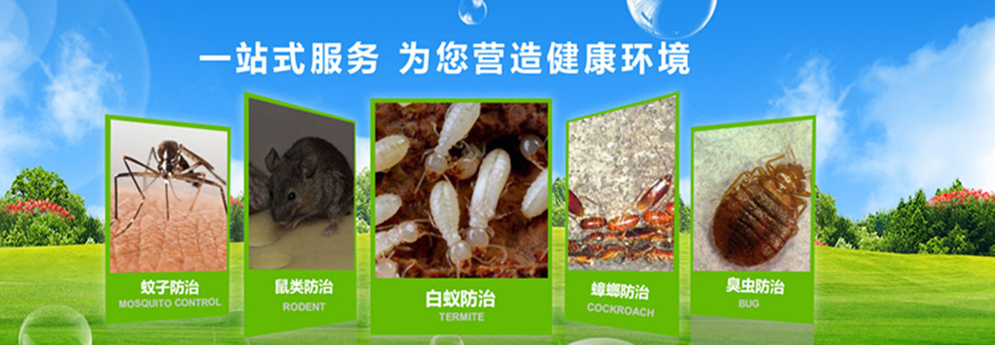 西昌市不单有害生物防治有限公司