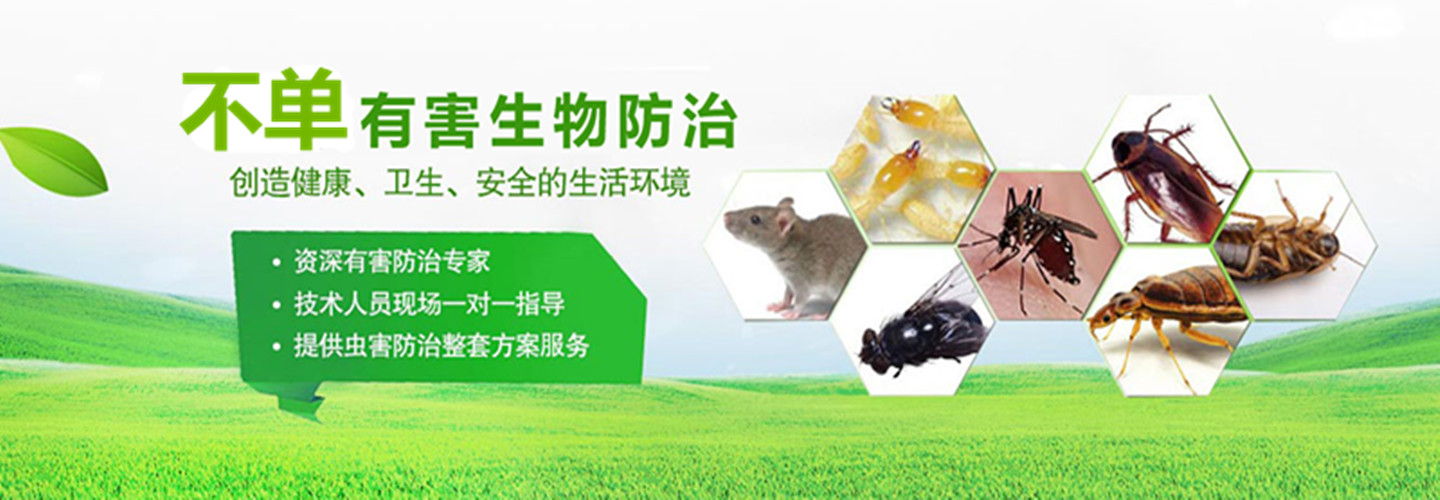 西昌市不单有害生物防治有限公司