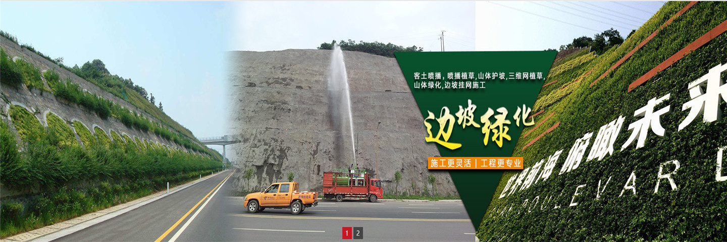 江西绿洲生态科技边坡绿化工程