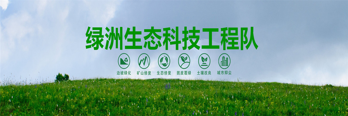 江西绿洲生态科技边坡绿化工程