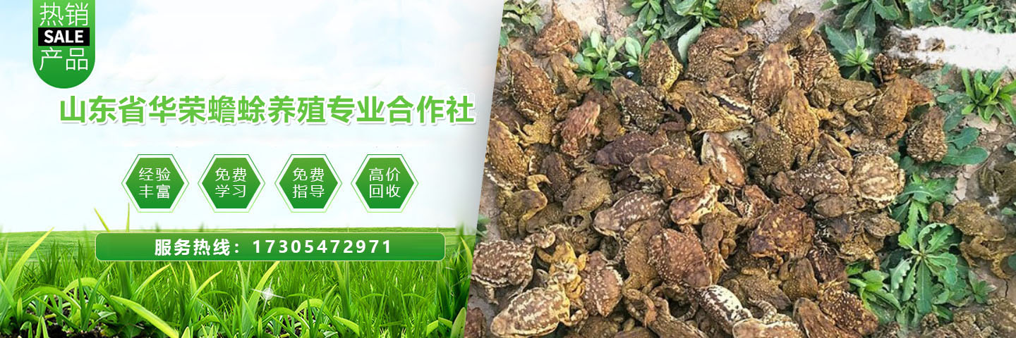 嘉祥华容养殖专业合作社