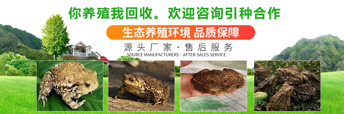 嘉祥华容养殖专业合作社