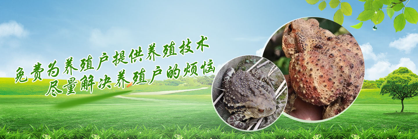 嘉祥华容养殖专业合作社