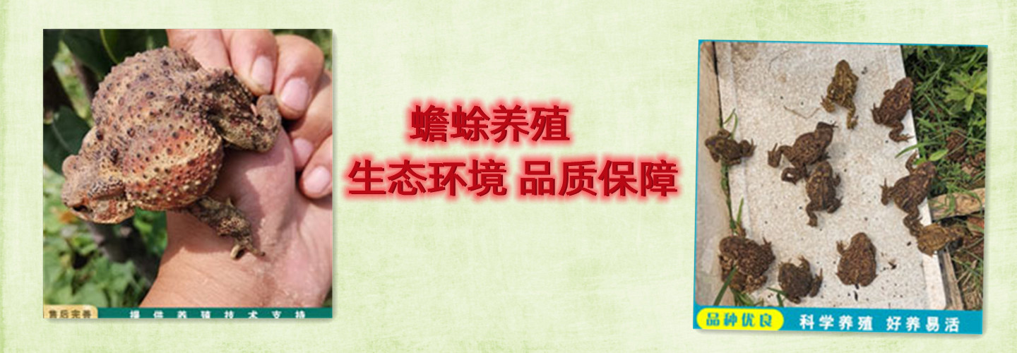 嘉祥华容养殖专业合作社