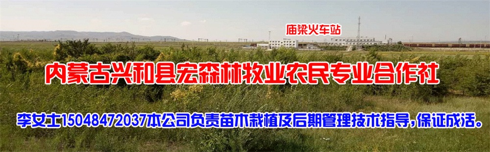 内蒙古宏森林牧业